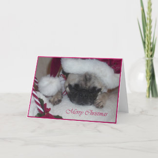 Festividades Cartão de Natal do Pug