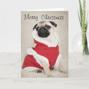 Festividades Cartão de Natal do Pug