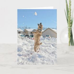 Festividades Cartão de Natal do Puggle!