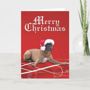 Festividades Cartão de Natal do pugilista