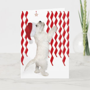 Festividades Cartão de Natal do Pup Westie Vermelho, Branco e Z
