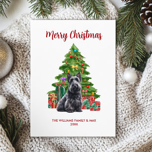 Festividades Cartão de Natal do Terrier Escocês