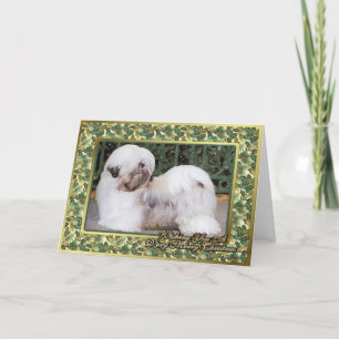 Festividades Cartão de Natal do vazio do cão de Lhasa Apso
