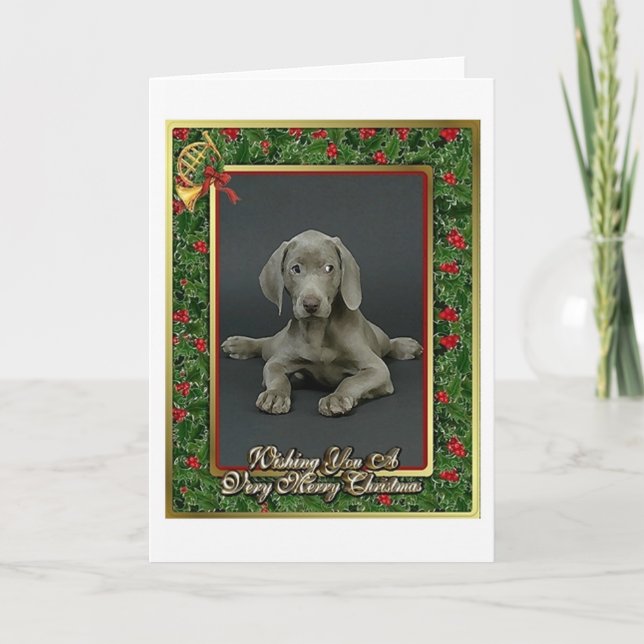 Festividades Cartão de Natal do vazio do cão de Weimaraner (Frente)