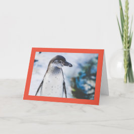 Festividades Cartão de Natal Dobrado PINGUIM