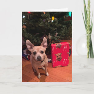 Festividades Cartão de Natal Dobrável de Cachorro Chihuahua Fof