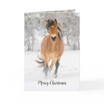 Cartão de Natal Dobrável de Cavalo Correndo na Nev