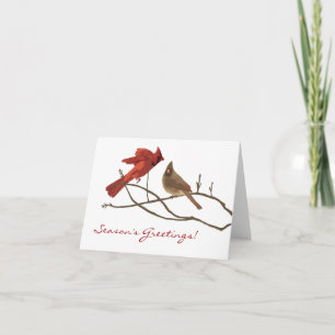 Festividades Cartão de Natal dos Cardinals de inverno
