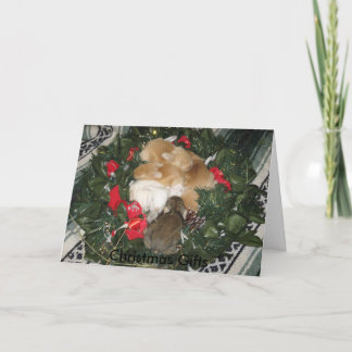 Festividades Cartão de Natal dos presentes do Natal
