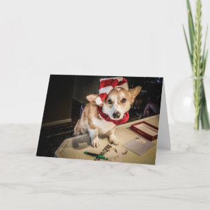 Festividades Cartão de Natal Elf Corgi