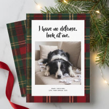 Cartão de Natal engraçado com foto de cachorro fof