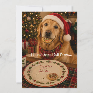 Festividades Cartão de Natal Engraçado de Cachorro   Biscoitos 