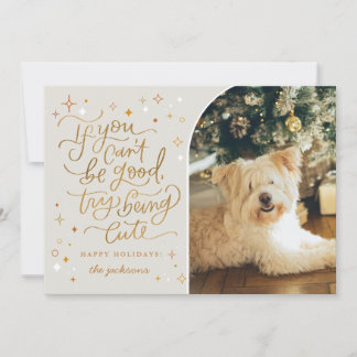 Festividades Cartão de Natal engraçado de humor de animais de e