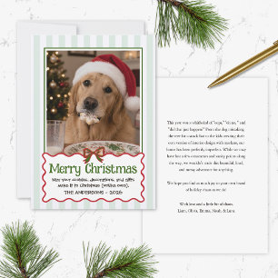 Festividades Cartão de Natal engraçado de humor de animal de es