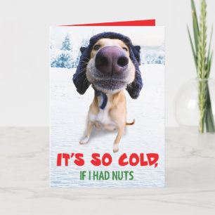 Festividades Cartão de Natal Engraçado do Cachorro Teddy o Home