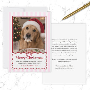 Festividades Cartão de Natal engraçado do cão fofo vermelho mod