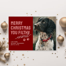 Festividades Cartão de Natal Engraçado e Safado para Animais de