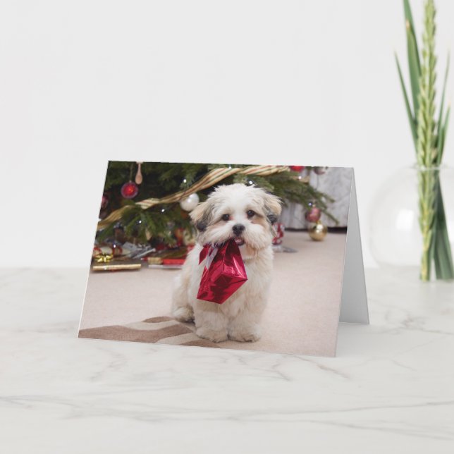 Festividades Cartão de Natal engraçado personalizável (Frente)