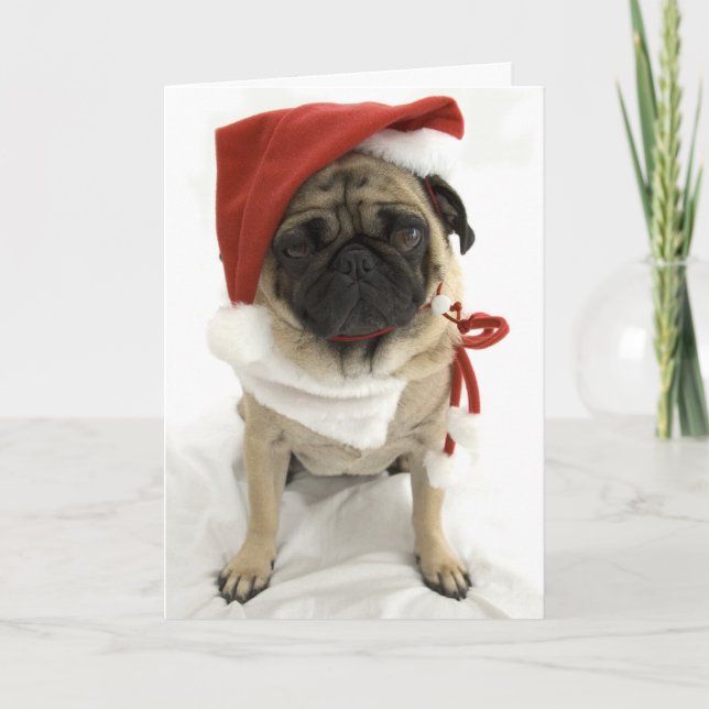 Festividades Cartão de Natal Engraçado - Puggy (Frente)