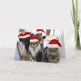 Festividades Cartão de Natal Extra Leite