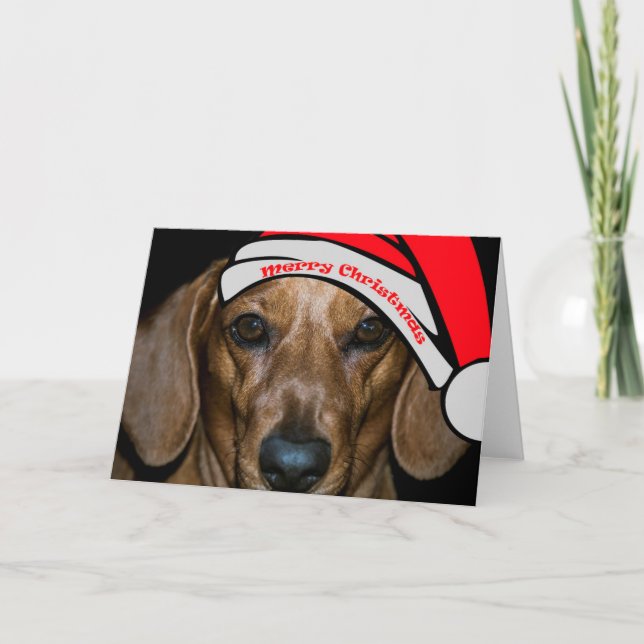 Festividades Cartão de Natal Feliz de Dachsund (Frente)