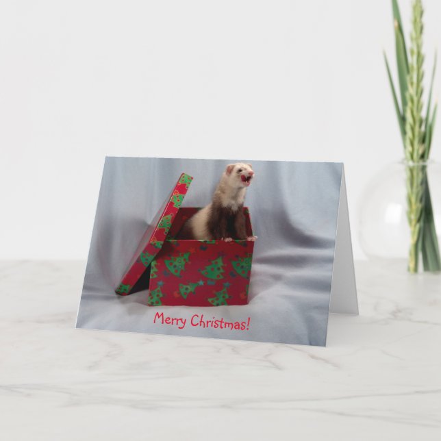 Festividades Cartão de Natal Ferret (Frente)