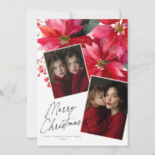 Festividades Cartão de Natal Flor de Poinsettia