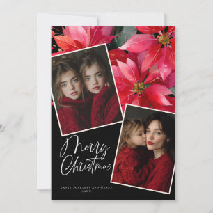 Festividades Cartão de Natal Flor de Poinsettia