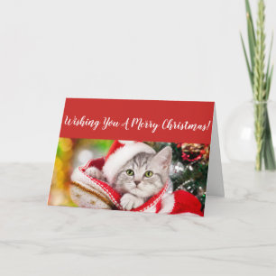 Festividades Cartão de Natal Fluffy Kitten