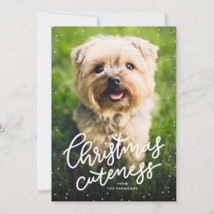 Festividades cartão de Natal fofo animal de estimação