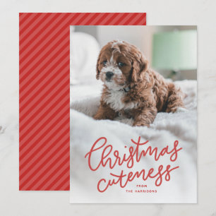 Festividades Cartão de Natal fofo com animal de estimação