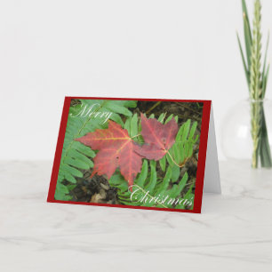Festividades Cartão de Natal Folhas de Fern & Maple