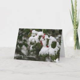 Festividades Cartão de Natal, Fotografia de Holly com neve