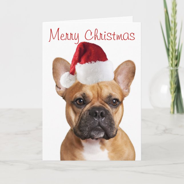 Festividades Cartão de Natal francês Buldogue (Frente)