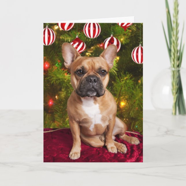 Festividades Cartão de Natal francês Buldogue (Frente)