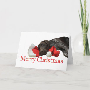 Festividades Cartão de Natal Glossy Grizzly Feliz