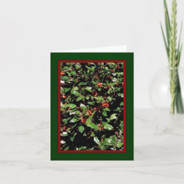 Festividades Cartão de Natal 'Holly & Berries' - "Saudações de 