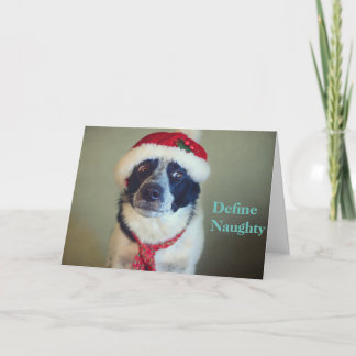 Festividades Cartão de Natal impertinente de border collie