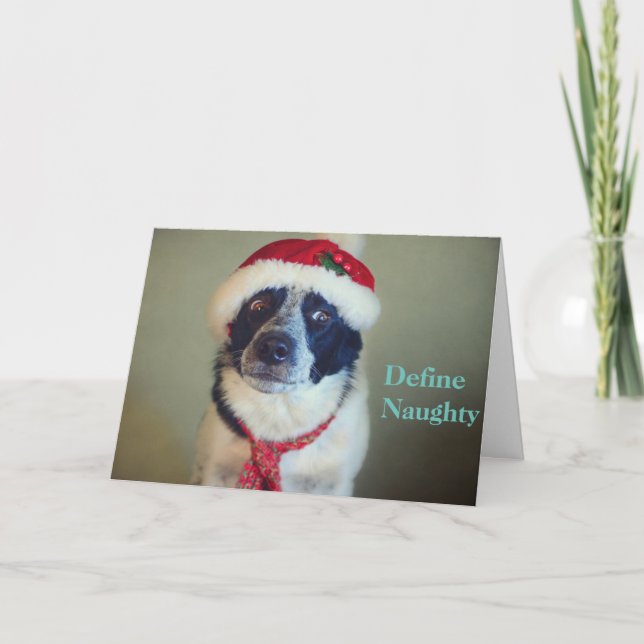 Festividades Cartão de Natal impertinente de border collie (Frente)