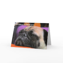 Cartão de Natal impertinente do Pug