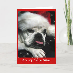 Festividades Cartão de Natal Inglês Bulldog.