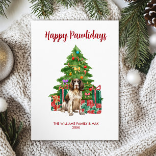 Festividades Cartão de Natal Inglês Springer Spaniel