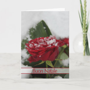 Festividades Cartão de Natal italiano para a rosa de inverno