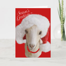 Festividades Cartão de Natal LaMancha Goat