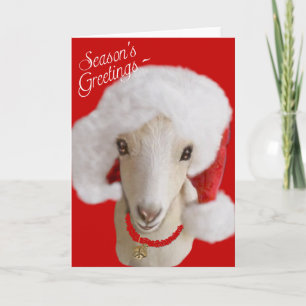 Festividades Cartão de Natal LaMancha Goat