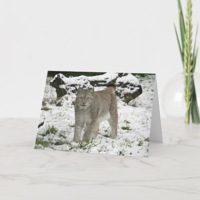 Festividades Cartão de Natal - lince Siberian (Frente)