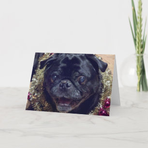 Festividades Cartão de Natal louco do Pug