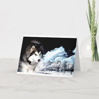 Festividades Cartão de Natal Malamute do Alaska
