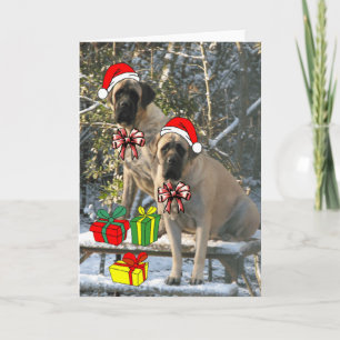 Festividades Cartão de Natal Mastiff