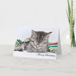 Festividades Cartão de Natal meowy